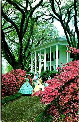 Postcard mitchell home - al,