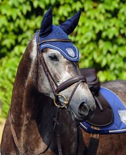 Passier Bridle INGRID KLIMKE