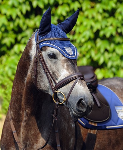 Passier bridle ingrid klimke - passier,