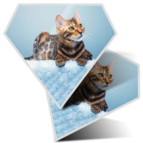 Diamond shape vinyl - 2x,