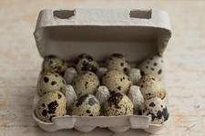 Henpac Quail 12-Egg Egg Boxes, Eco Friendly, also great for crafts and gifting