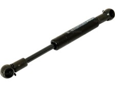 Door gas strut for - gas,