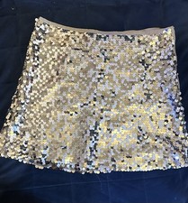 BNWT Zara Silver Sequin Mini