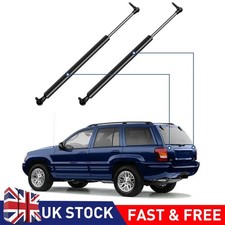 2x Tailgate Boot Gas Struts