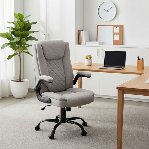 Ergonomic executive office - executive,