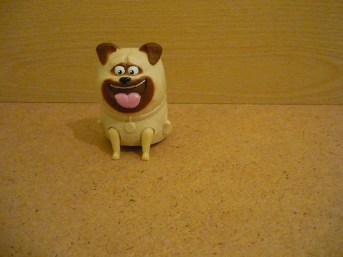 Secret life pets - pets, 2