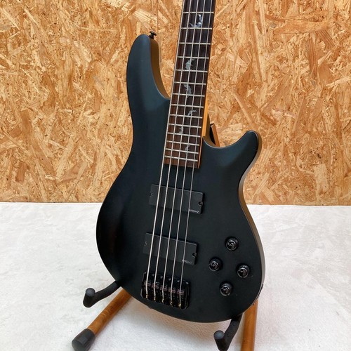 Schecter damien active - schecter, damien-5