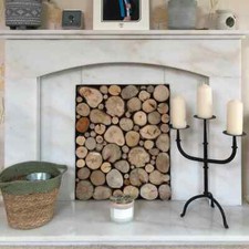 Decorative fireplace display