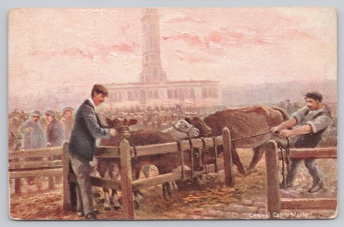 Vintage central cattle market - vintage,