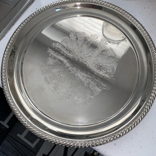 Thistle silver plated tray - thistle,