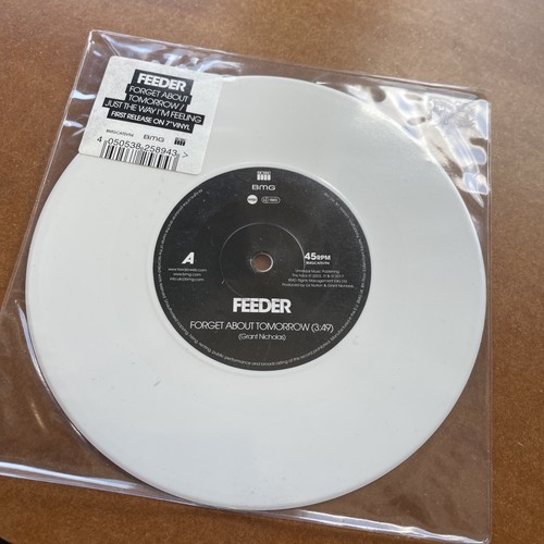 Feeder forget about - feeder,