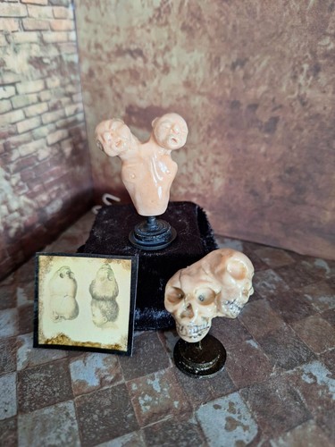 12th scale miniatures - , for