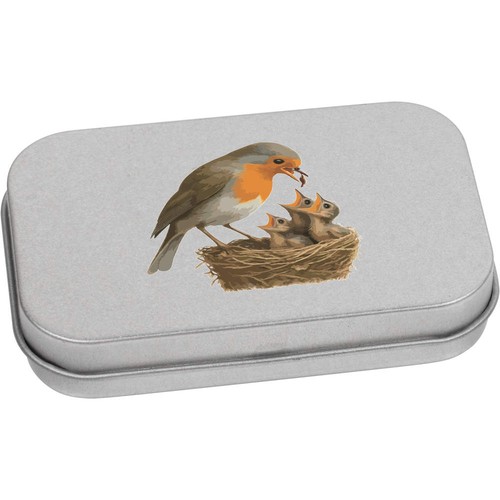 Robin bird feeding - bird,
