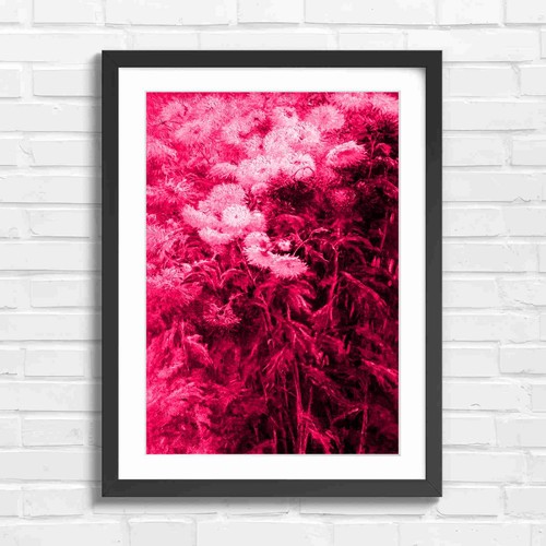 Vibrant multicolor - vibrant,