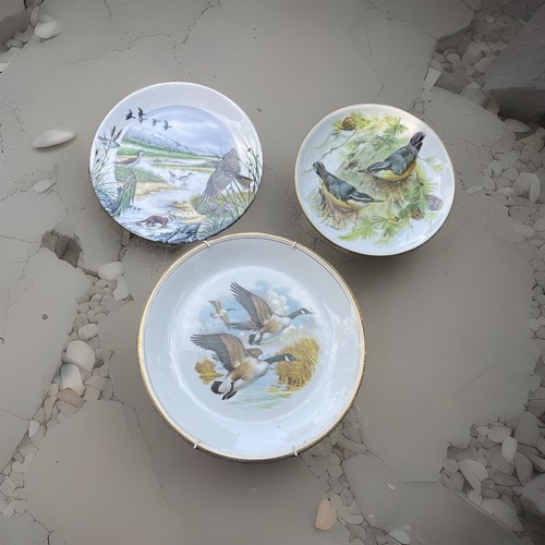 Wedgwood liverpool wwf - ,