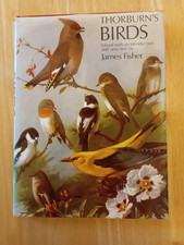 Thorburn birds james - thorburn's,