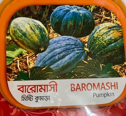 Mistti kodu pumpkin - mistti, kodu,pumpkin