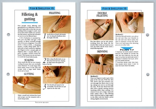Filleting gutting 15 - &,