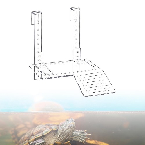 Transparent turtle basking - turtle,