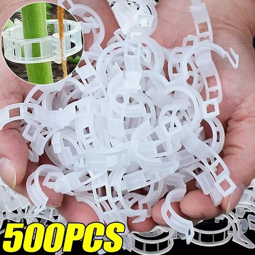 100x clip tomato - and, veggie