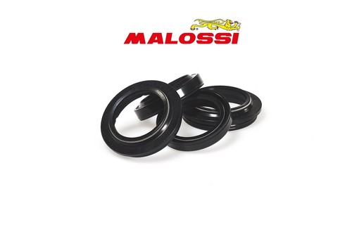 Oil seal dust kit - oil,