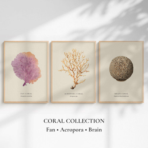 Coral prints set brain - coral,