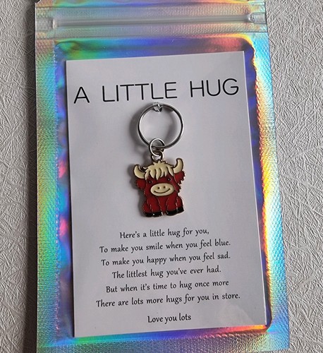 Red highland cow - cow, pocket