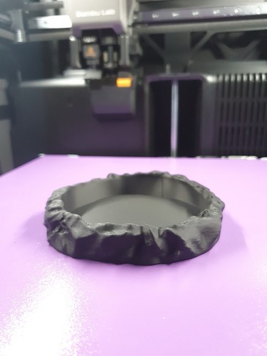 Printed reptile water bowl - printed,