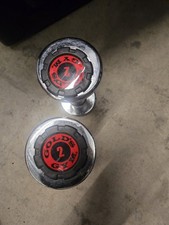 Set of 2 lb Gold's Gym