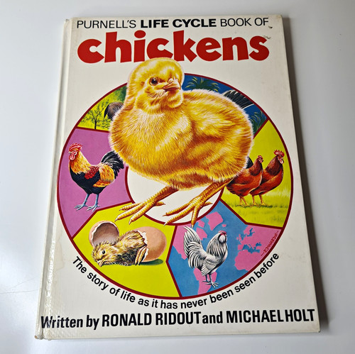 Purnell life cycle - purnell, cycle: