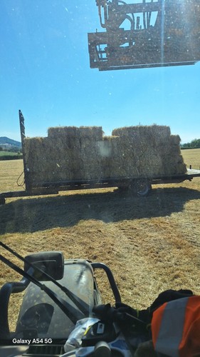 Flat bed trailers - bed,