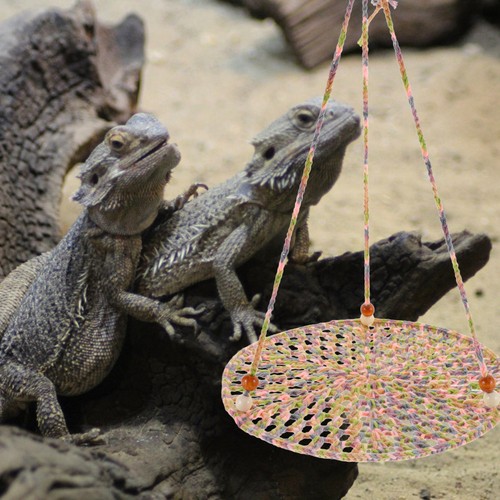 Creative reptile hammock - creative,