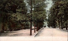 1907 Southampton The Avenue printed Postcard Posted