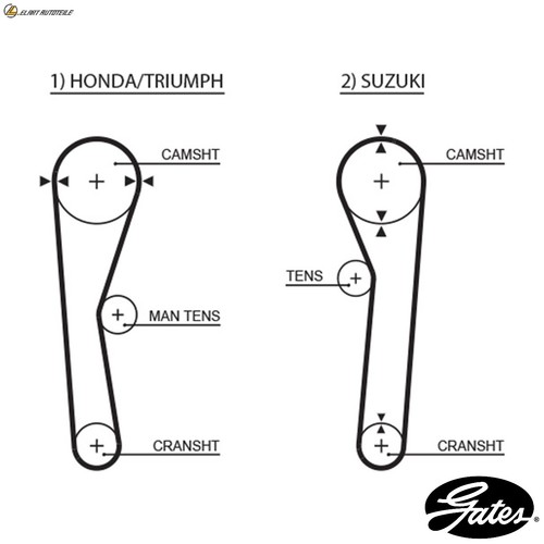 Timing belt 5019 for - belt,