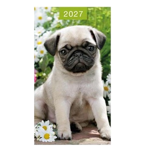 2027 slim pocket - diary, pug