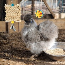  5 PCS/Set Hens Balls Chicken