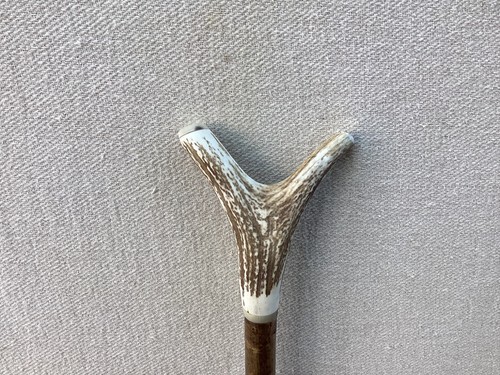 Red deer antler - red,
