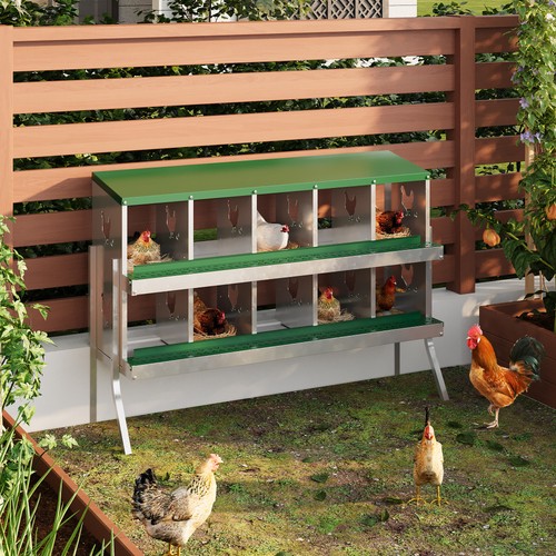 Compartments chicken - compartments,