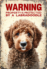 Warning Labradoodle Security metal sign, Labradoodle  Security Plaque