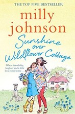 Sunshine over wildflower - over,