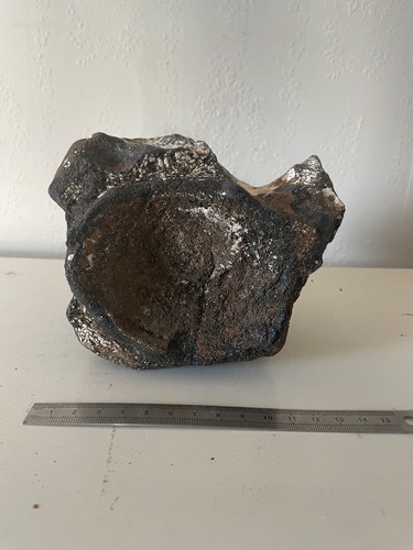 Rare cervical vertebra - , from