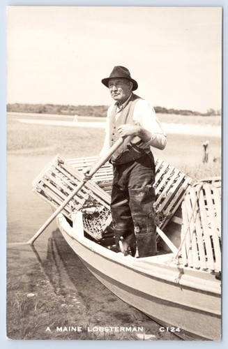 Maine lobsterman fisherman - lobsterman,