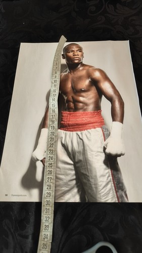 Floyd mayweather poster boxing - floyd,
