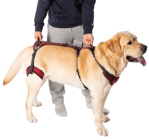 Mobility dog lift harness - mobility,