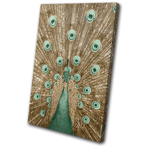 Exotic gold peacock teal - exotic,