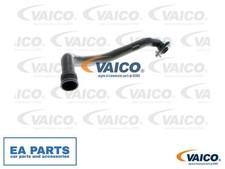 Hose, cylinder head cover