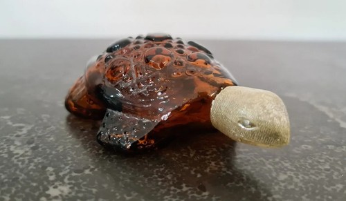 Tortoise turtle avon - tortoise/turtle-avon, cologne