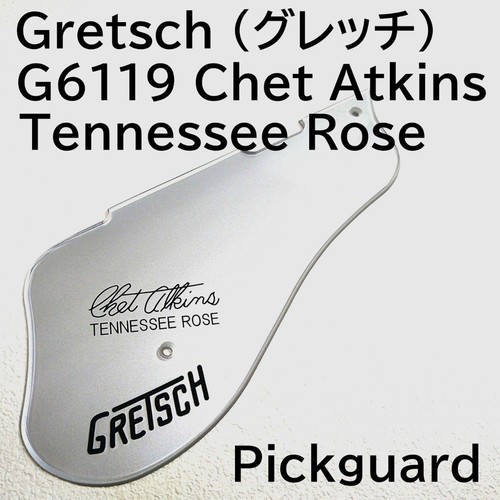 Gretsch g6119 chet atkins - gretsch,