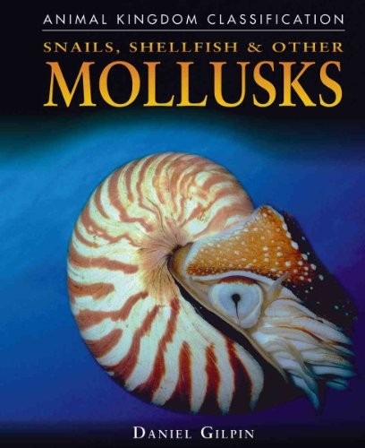 Snails shellfish other mol - snails,,