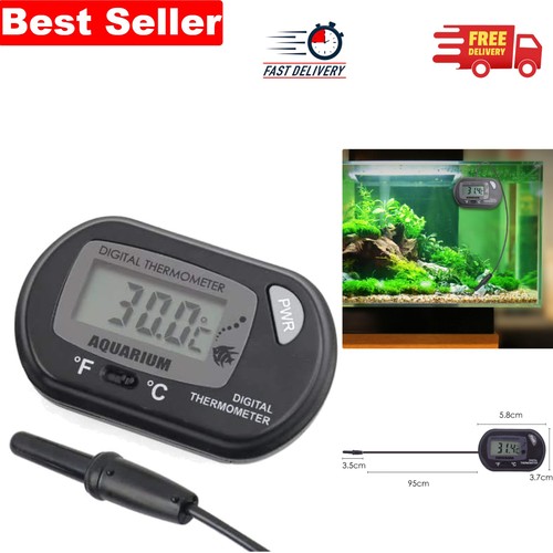 Tropical fish tank - tropical,